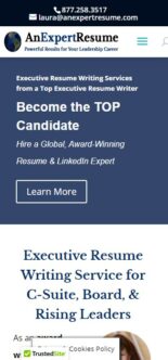 An Expert Resume